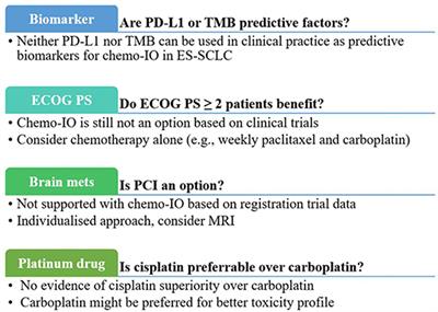 First-Line Treatment for Advanced SCLC: What Is Left Behind and Beyond Chemoimmunotherapy